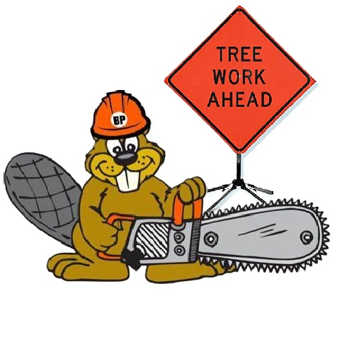 BP Tree Services Login BP Tree Services Login